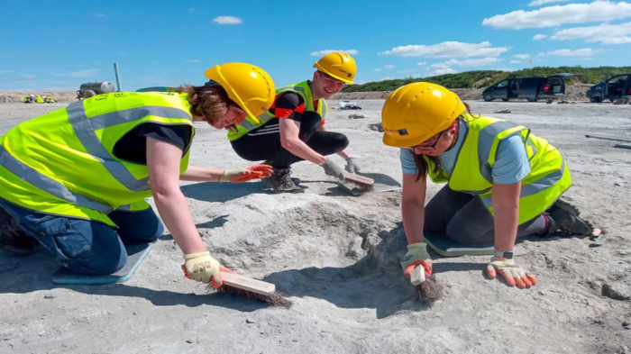 Pegadas de dinossauro com 166 milhões de anos descobertas numa espantosa pedreira em Oxfordshire